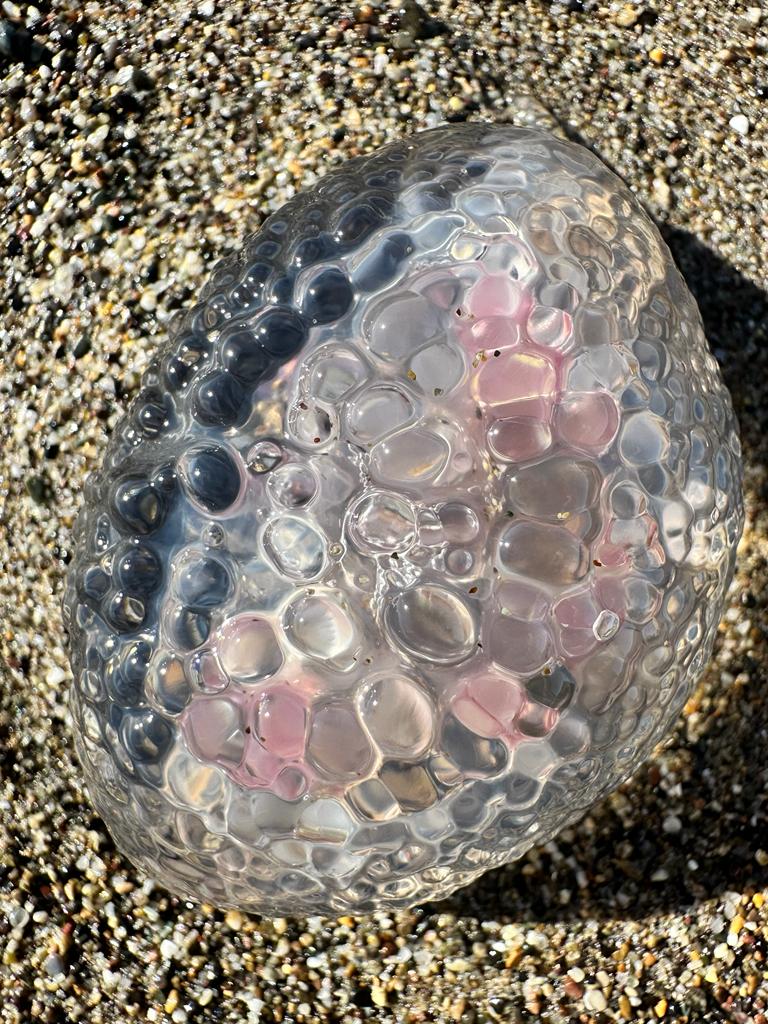 Medusa sulla spiaggia di Toscana